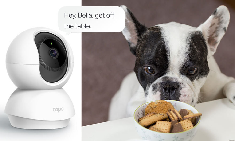 Review: TP-Link Tapo C200 Smart Security Camera - Latest News and Reviews -  Hughes Blog